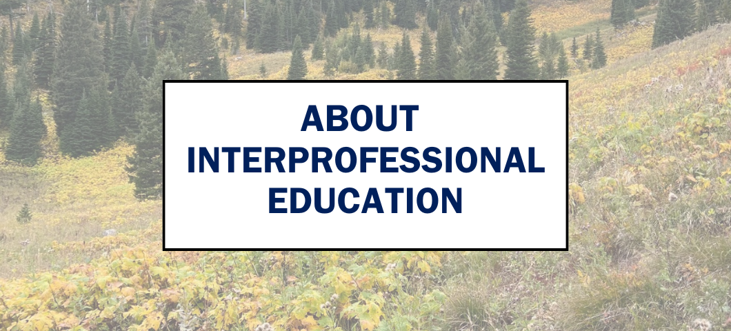 About IPE Webpage Banner