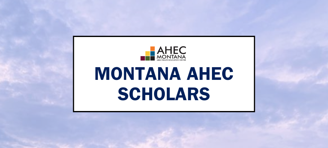 About Us AHEC Scholars Webpage Banner