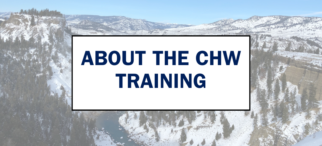 About the CHW Training Webpage Banner
