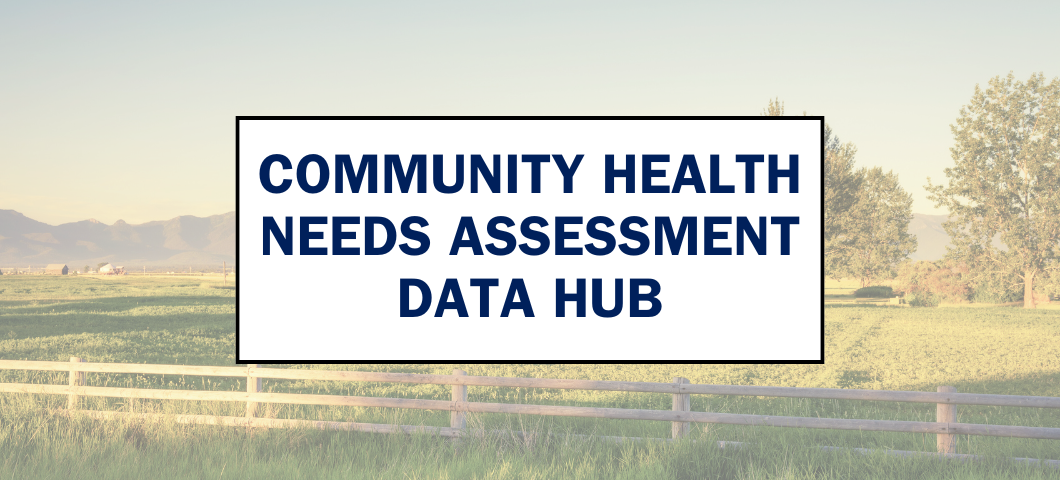 Data Hub Image