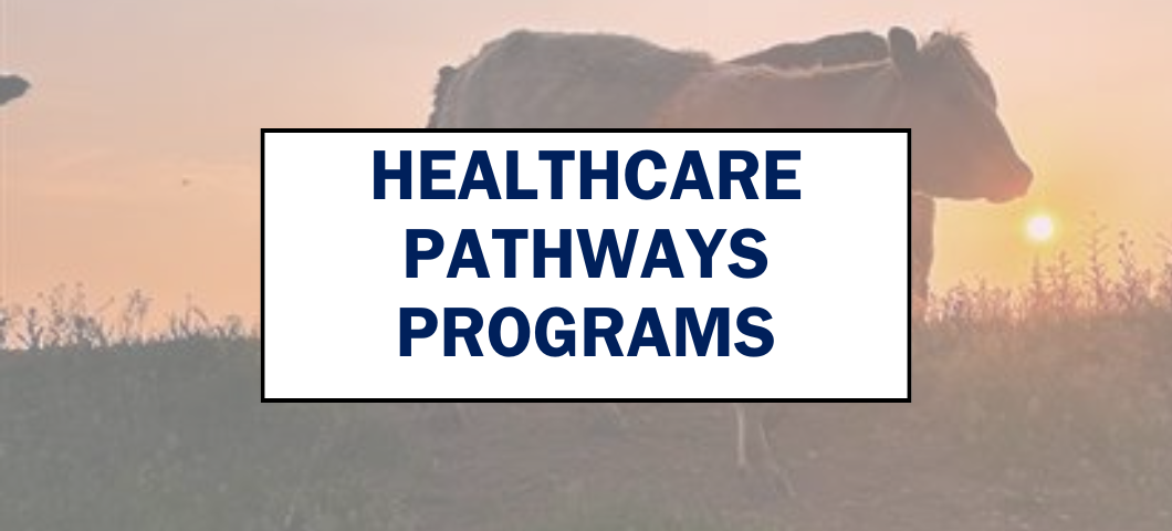 Healthcare Pathways Programs Webpage Banner
