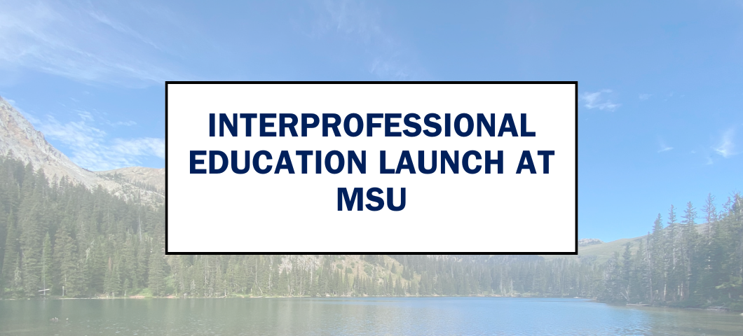 IPE Ed Launch at MSU Webpage Banner