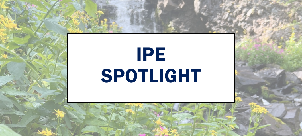 IPE Spotlight Webpage Banner