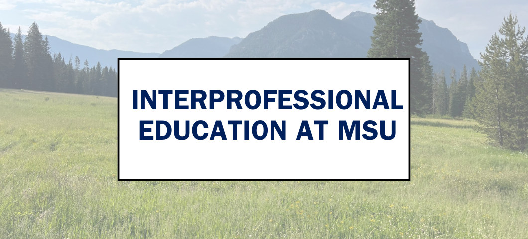 Interprofessional Ed at MSU Webpage Banner