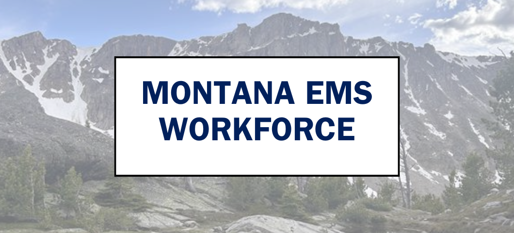 MT EMS Webpage Banner