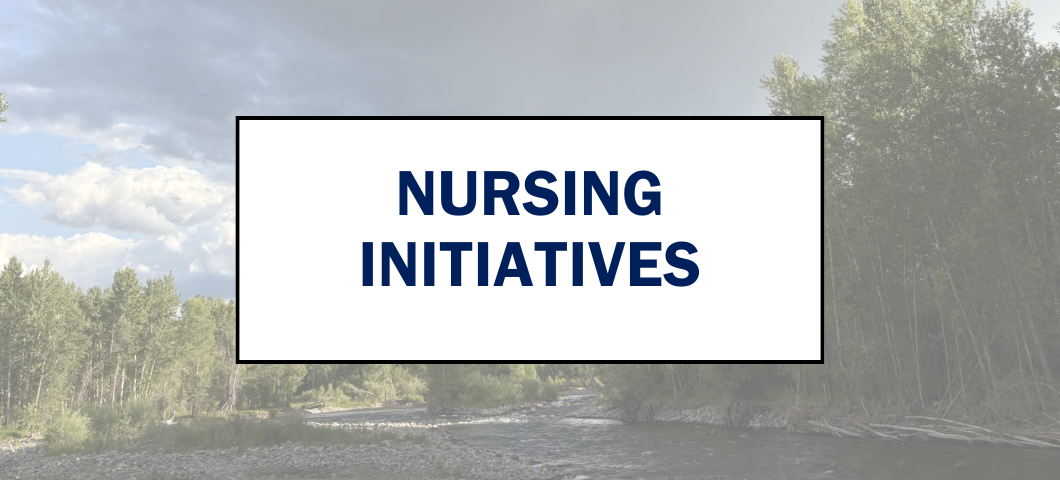 Nursing Initiatives Webpage Banner