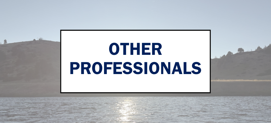 Other professionals webpage banner