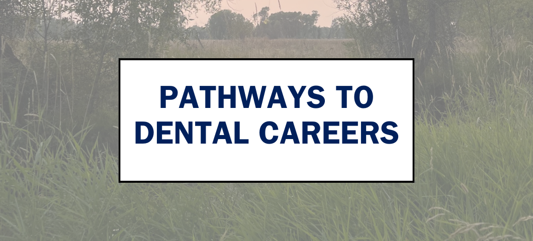 Pathways to Dental Careers Webpage Banner