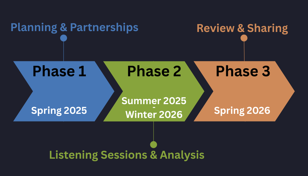 A timeline illustrating the three phases of planning & partnerships (spring 2025), Listening sessions & analysis (summer 2025-winter 2026), and review & sharing (spring 2026)