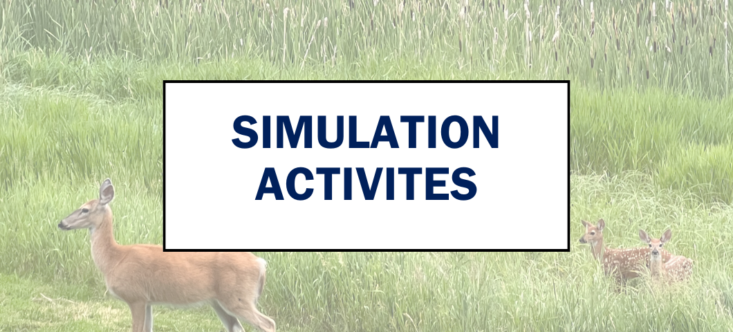 Simulation Activities Webpage Banner