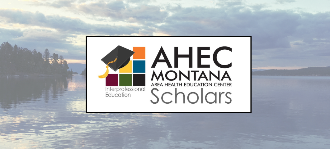 AHEC Scholars