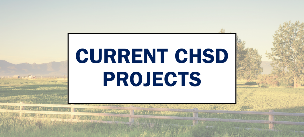 current chsd projects banner