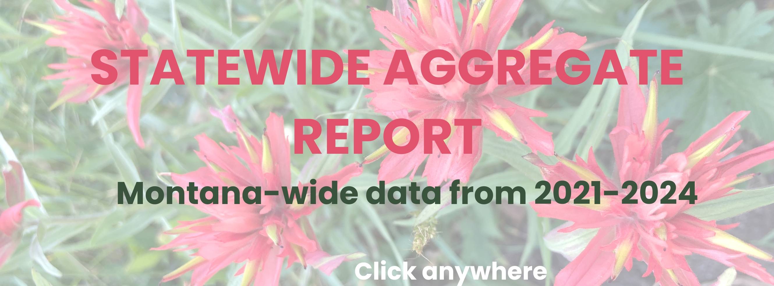 Statewide aggregate report now available