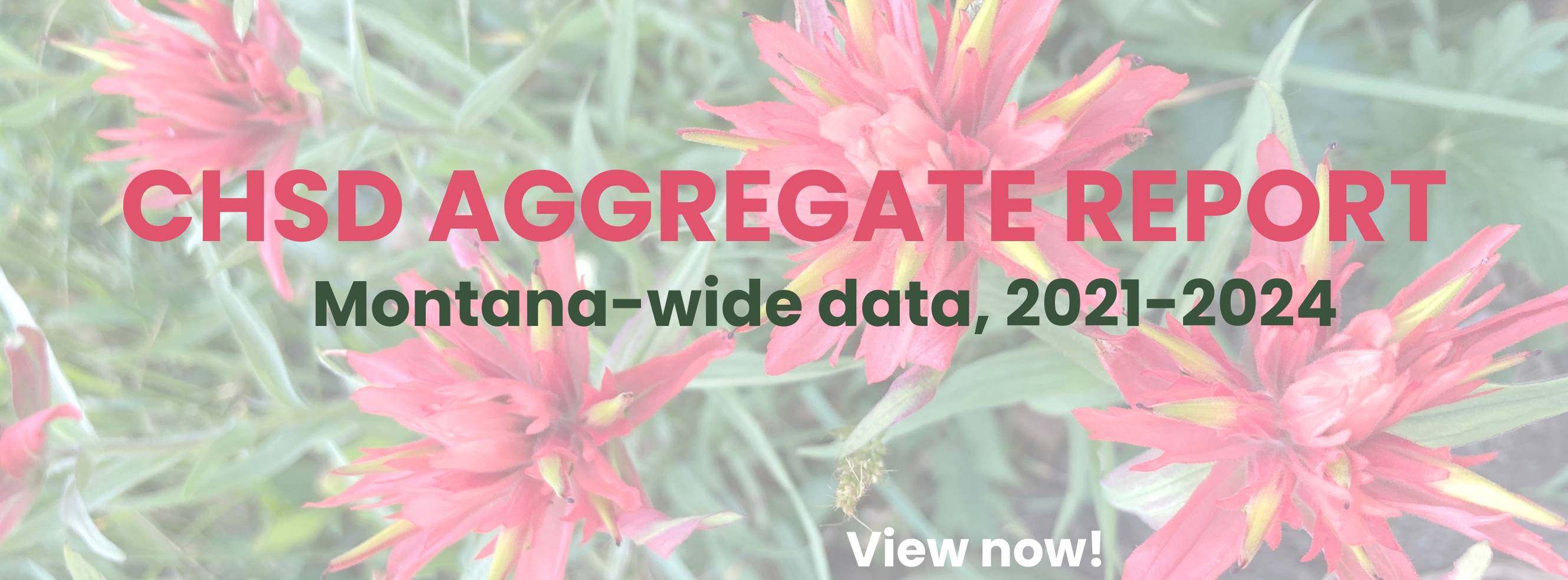 CHSD Aggregate Report available now