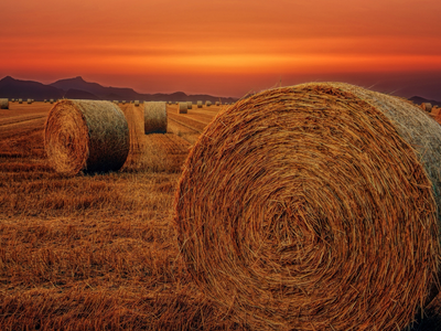 Hay bales in a field with setting sun 