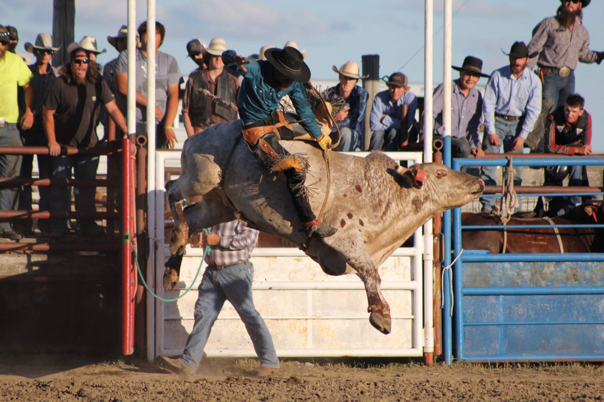 Bull rider