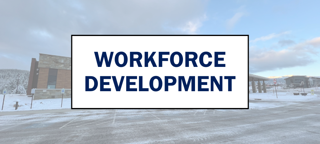 workforce development
